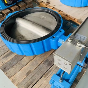 Butterfly valve